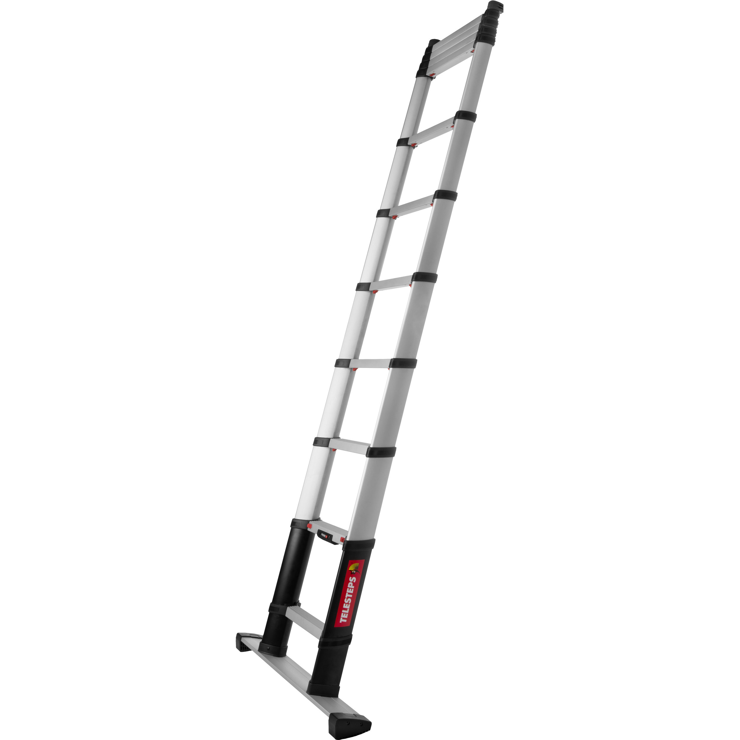 telescoping access ladder