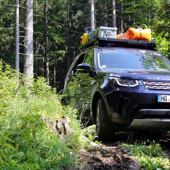 Ein Auto fährt mit ZARGES Kisten auf dem Dach durch den Wald.