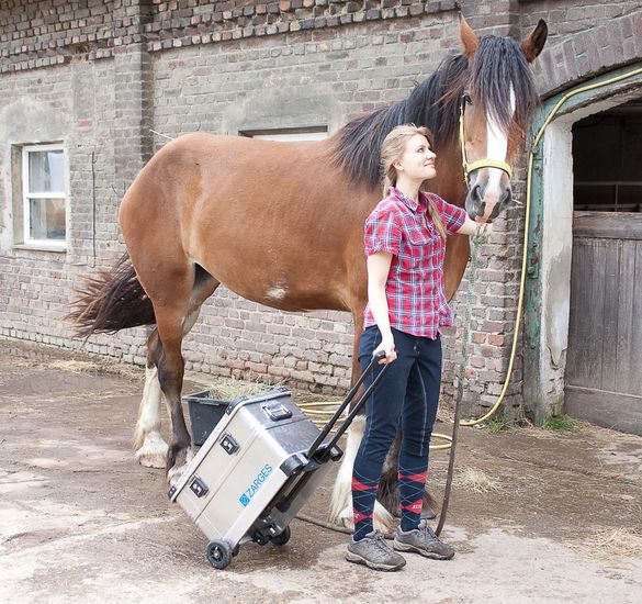 K424 MobilBox als Putzbox für Pferde